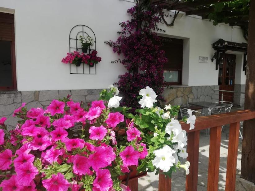 Laukiz Atxispe Etxea Casa Rural المظهر الخارجي الصورة